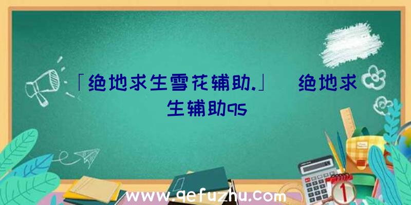 「绝地求生雪花辅助.」|绝地求生辅助qs